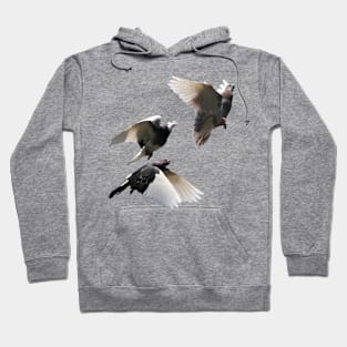 Rock Doves in Flight Hoodie